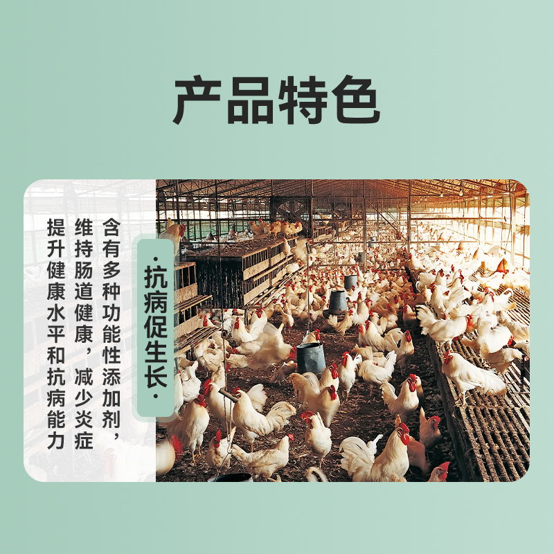 肉雞飼料金昊圓5%肉雞預混料肉中雞飼料湖南廠家發貨包郵